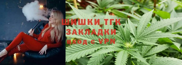 шишки Алексин